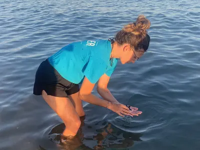 Laura en Grèce : volontariat pour la protection des tortues marines