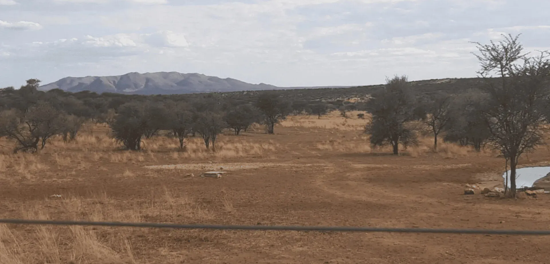Le volontariat de Barbara dans une réserve animalière en Namibie