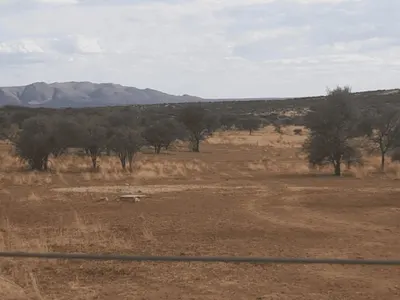 Le volontariat de Barbara dans une réserve animalière en Namibie