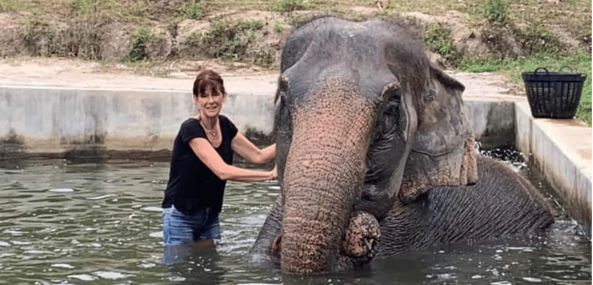 Retour sur le volontariat de Chantal auprès des éléphants dans un refuge en Thaïlande