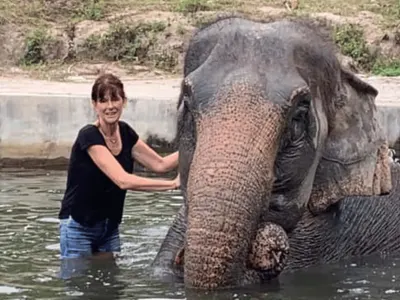 Retour sur le volontariat de Chantal auprès des éléphants dans un refuge en Thaïlande