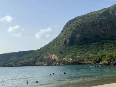 Protéger les tortues au Cap-Vert : l’expérience de Julia