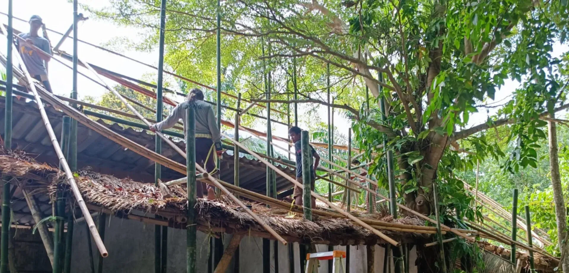 Stage en construction en Thaïlande : une expérience formatrice pour Justin