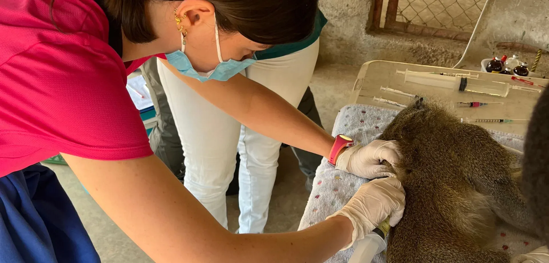 Voyage solidaire aux Philippines : l’expérience en construction de Lison