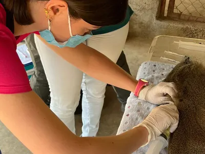 Voyage solidaire aux Philippines : l’expérience en construction de Lison