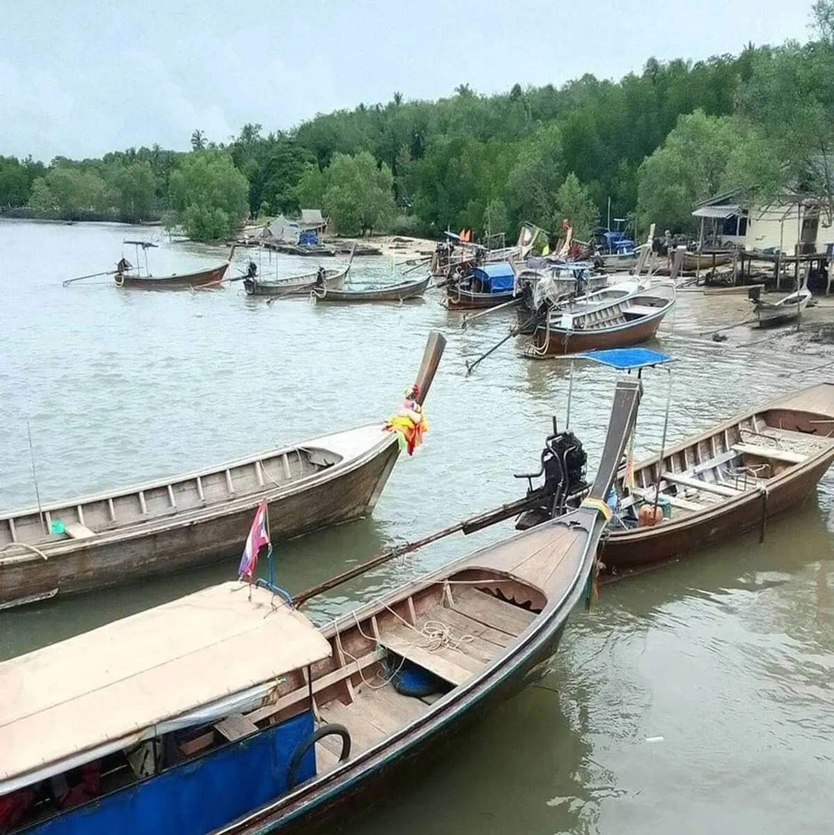 Protection des écosystèmes en Thaïlande