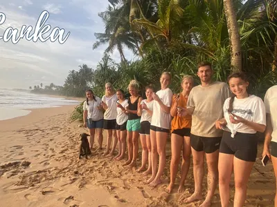 How to protect sea turtles?