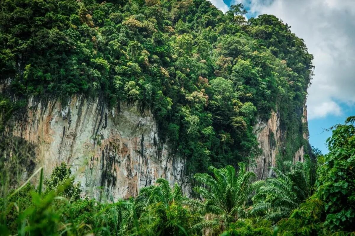 Protection des écosystèmes en Thaïlande