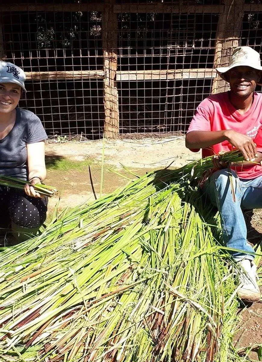 Ecovolunteering in Kenya