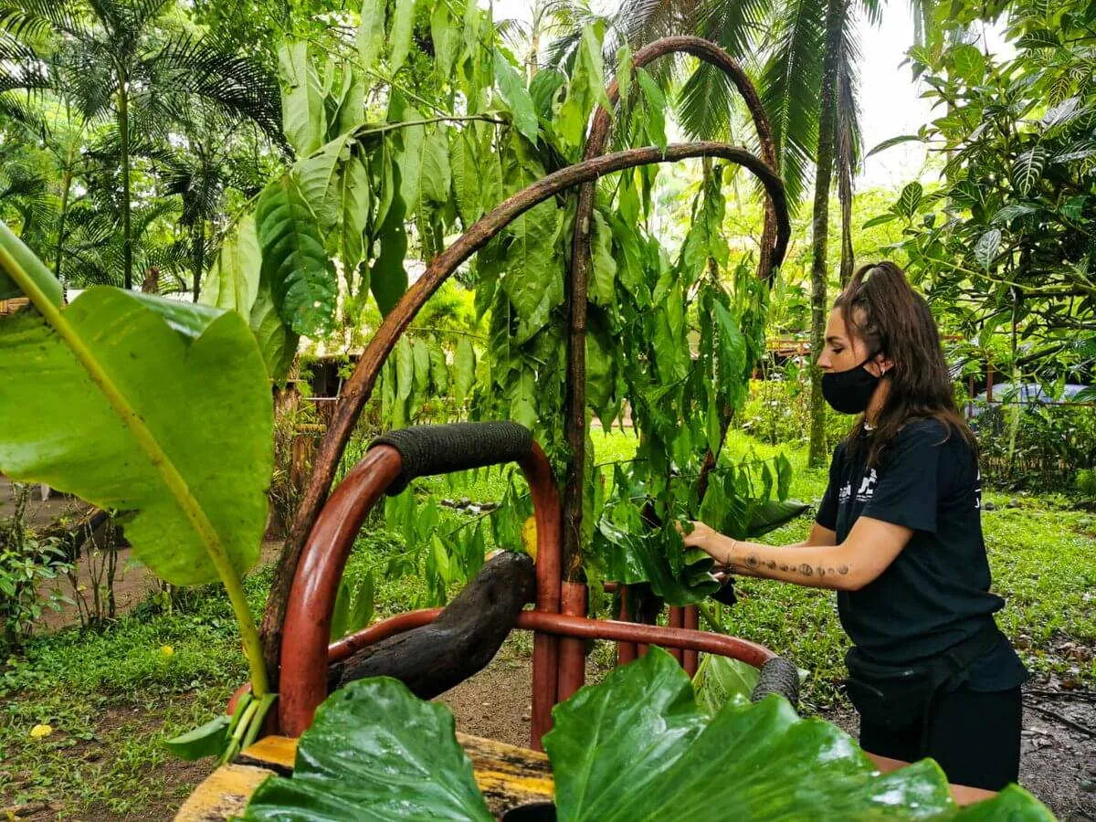 Animal rescue center in Costa Rica, photo 5