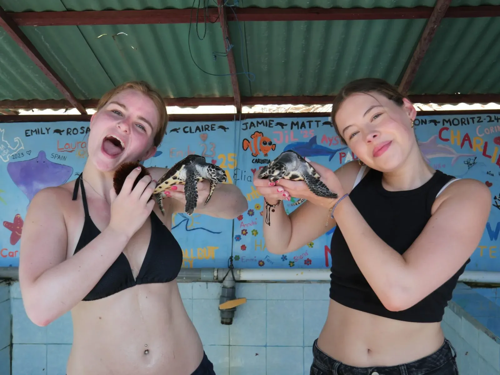 Bali road trip tour