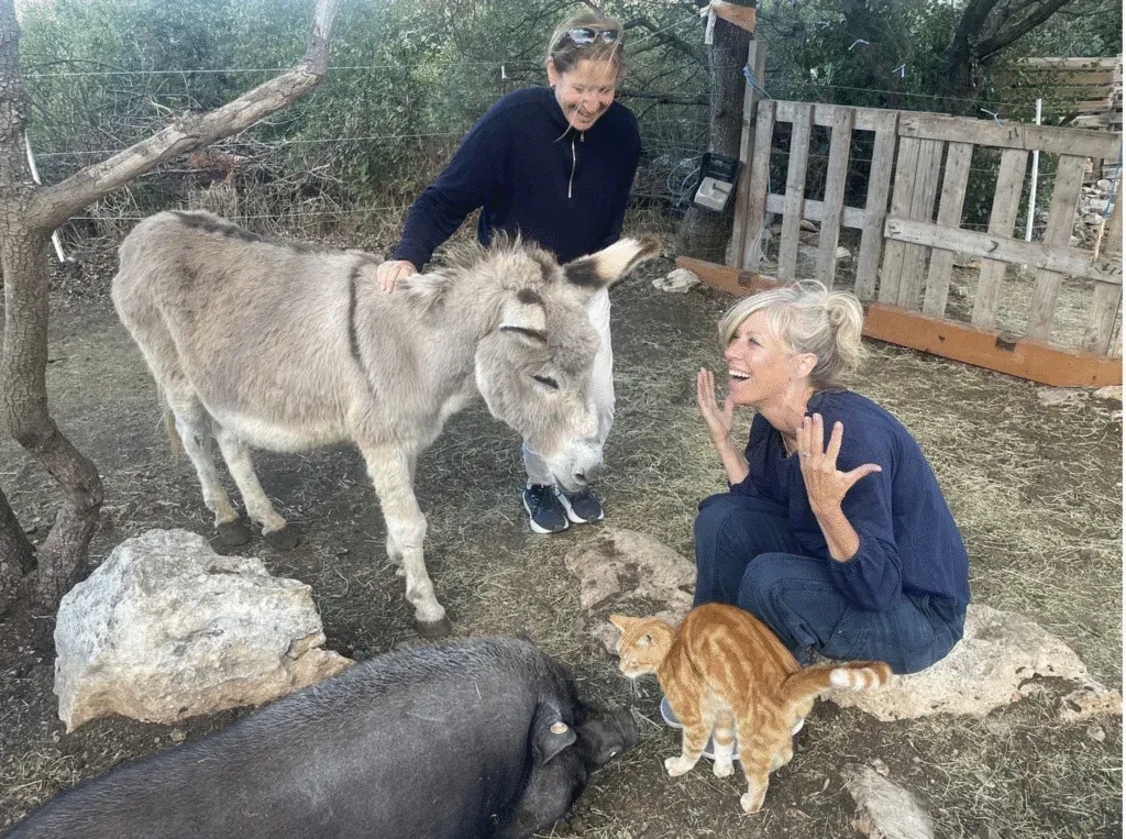 Animal Rescue Sanctuary Volunteer Program, Croatia, photo 3