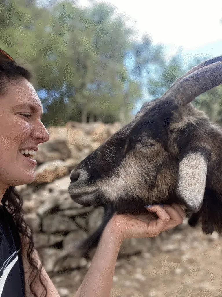 Animal Rescue Sanctuary Volunteer Program, Croatia, photo 6