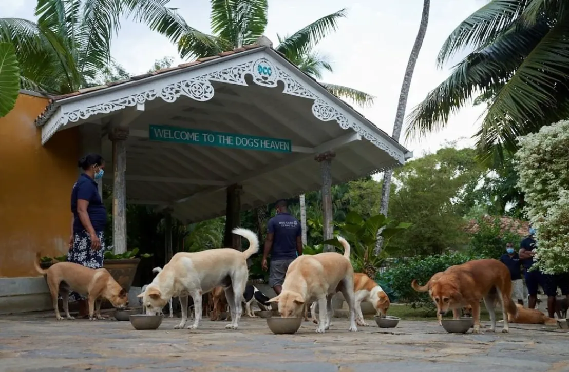Animal humanitarian trip