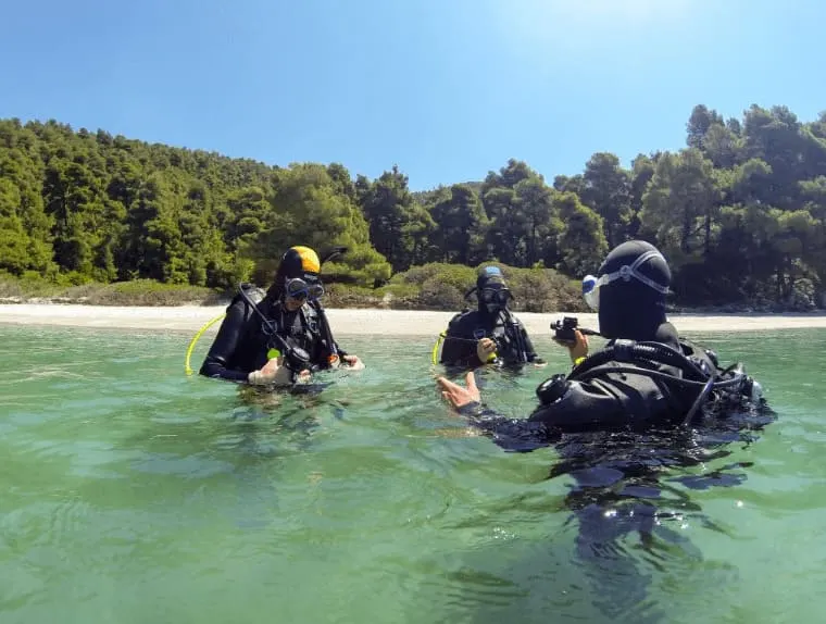 Marine conservation in Greece, photo 14