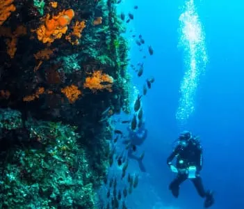 Marine conservation in Greece, photo 2
