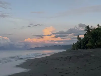 Camila a aidé pour la protection de tortues au Costa Rica