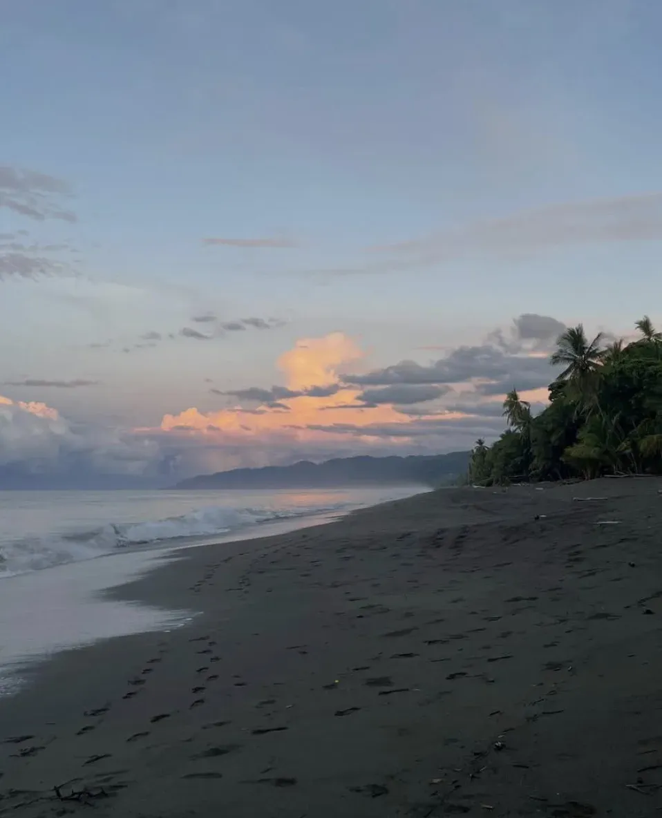 Camila a aidé pour la protection de tortues au Costa Rica