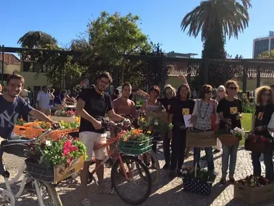 Community projects in Portugal, photo 3