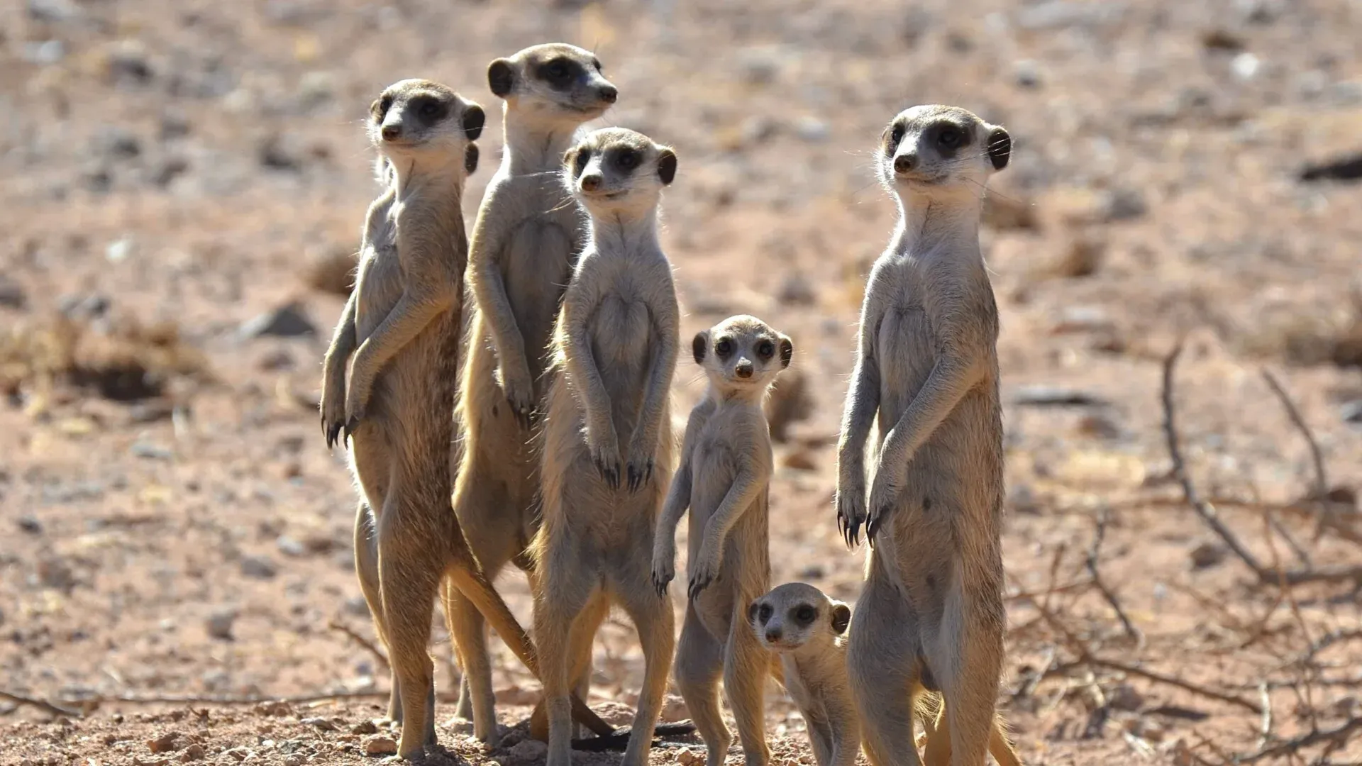 Lucie’s Experience Volunteering in a Wildlife Reserve