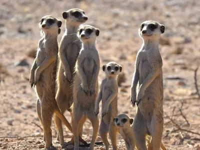 Lucie’s Experience Volunteering in a Wildlife Reserve