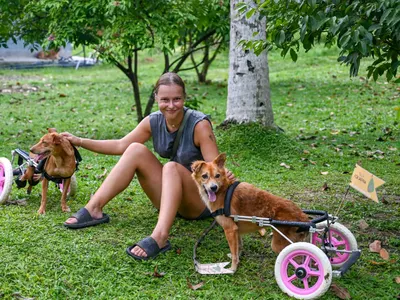 Volunteering in a dog shelter in Sri Lanka, photo 9