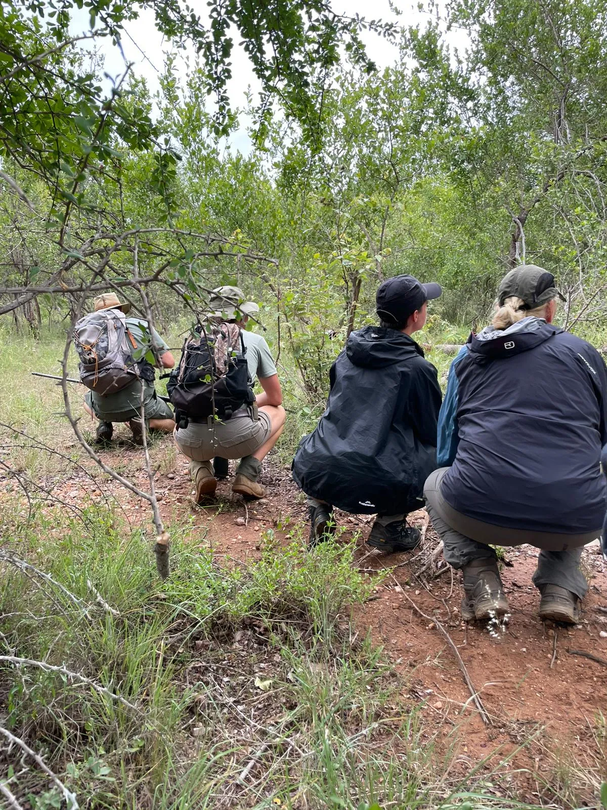 Big 5 Wildlife Conservation, South Africa, photo 3