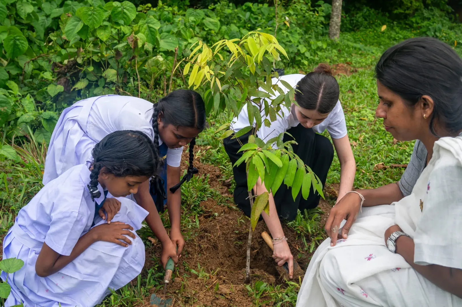 Environmental Conservation Project, Sri Lanka, photo 7