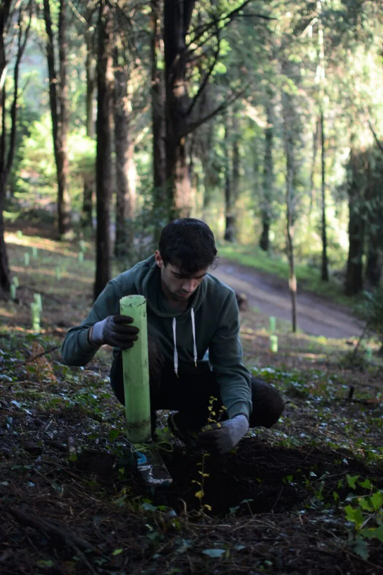 Forest Conservation photos