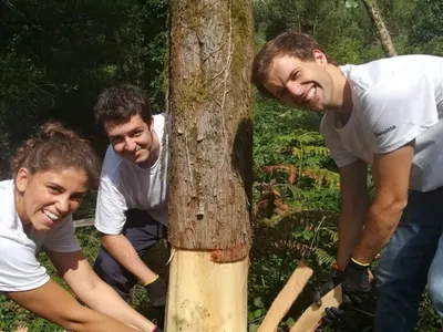 Forest conservation in Portugal
