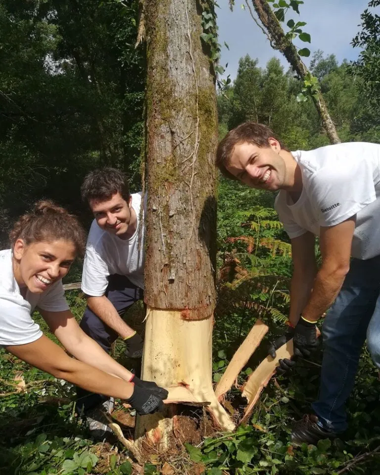 Forest Conservation photos