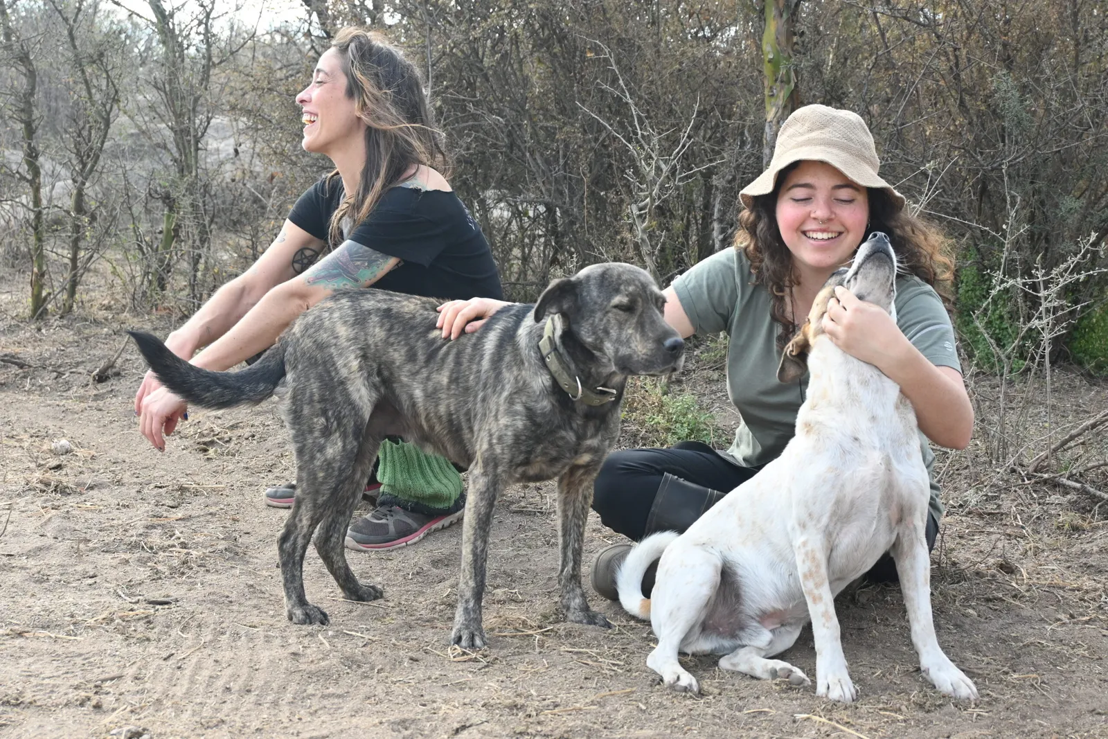 Care in a horse sanctuary in Argentina, photo 19