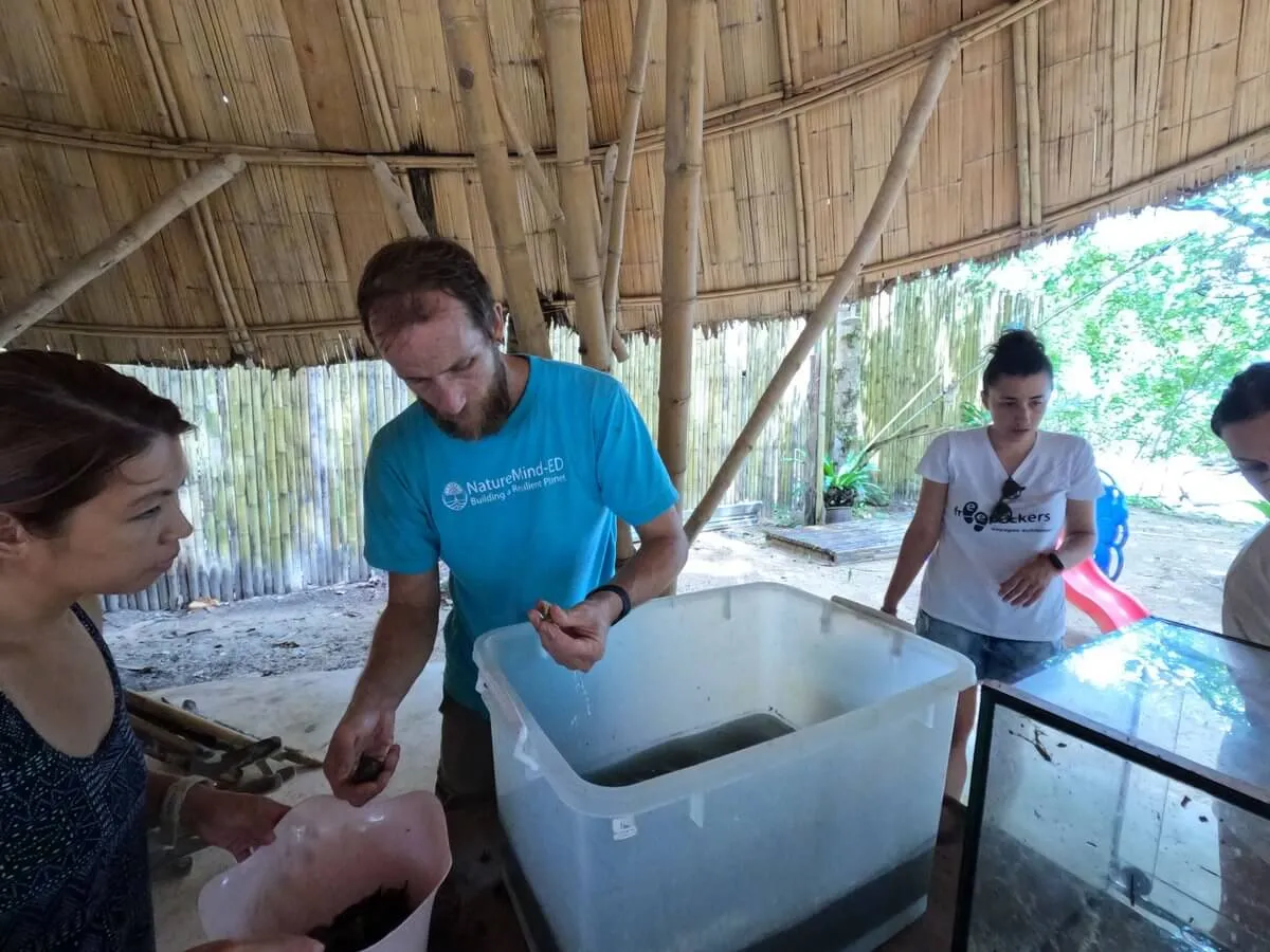 Protection des écosystèmes en Thaïlande