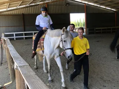 Horse Farm in Portugal, photo 18