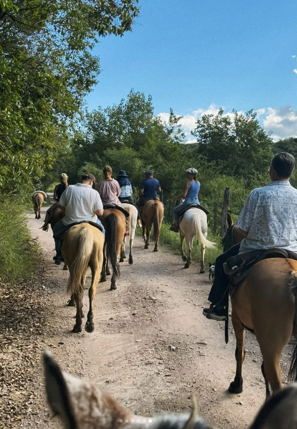 Care in a horse sanctuary in Argentina, photo 4