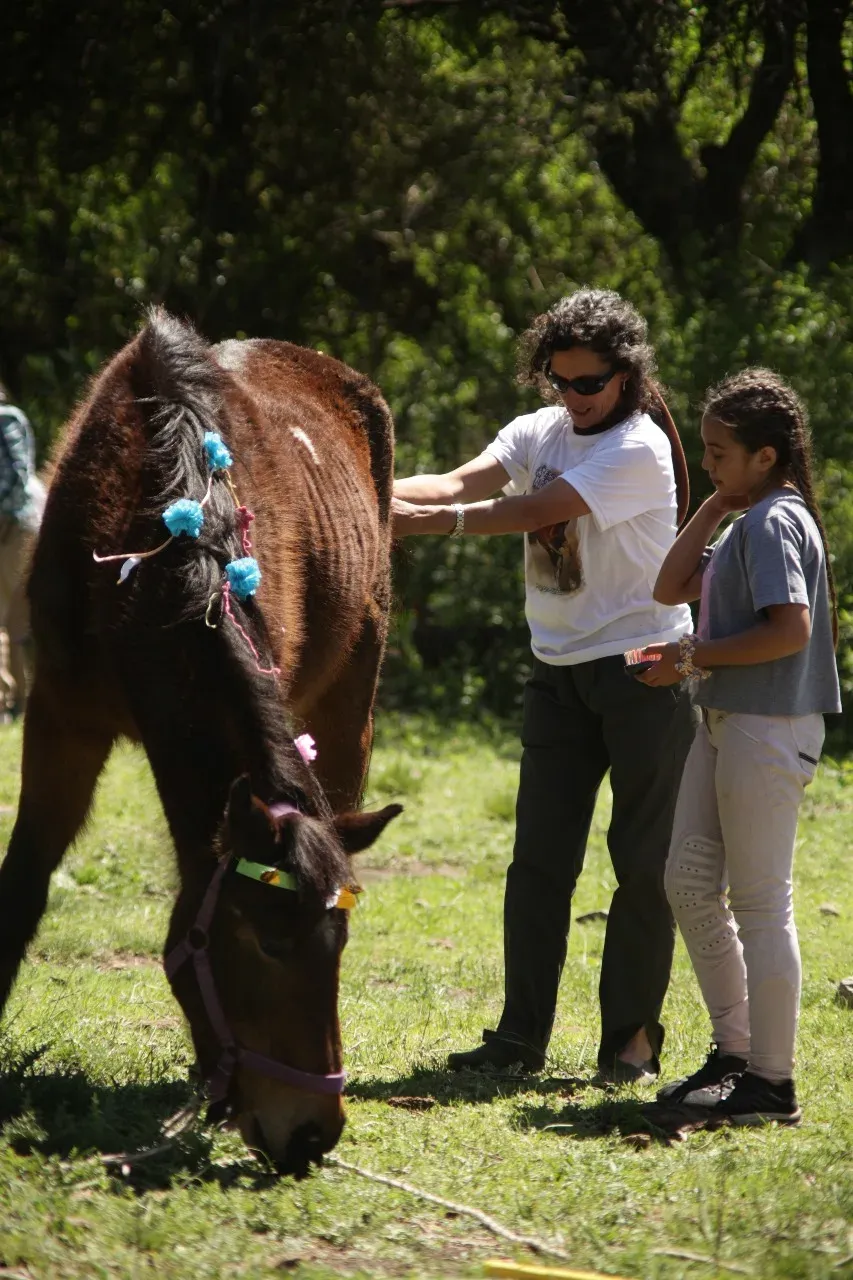 Care in a horse sanctuary in Argentina, photo 22