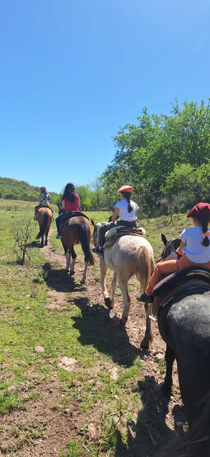 Care in a horse sanctuary in Argentina, photo 8