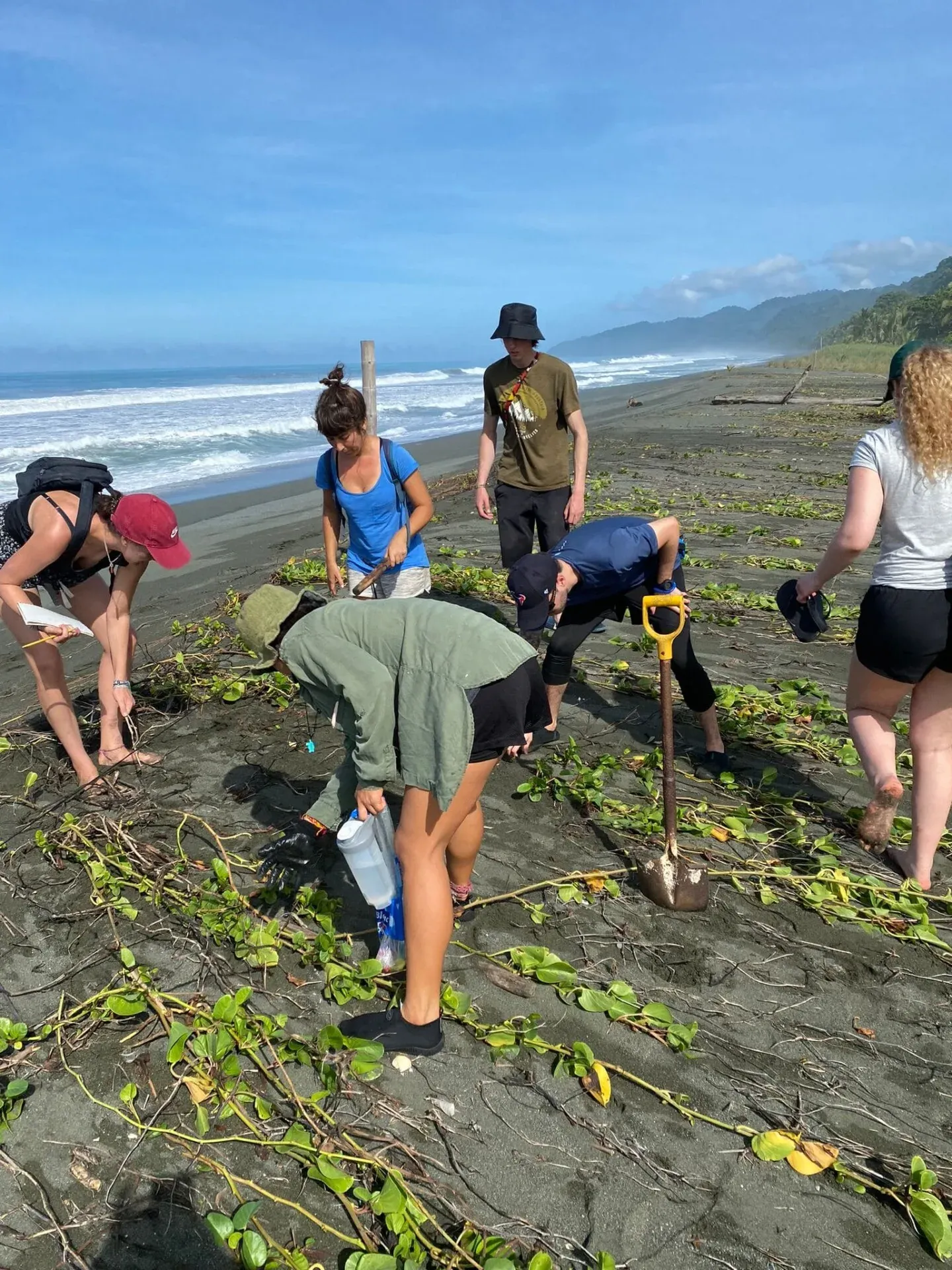 Sea turtles conservation in Costa Rica, photo 16