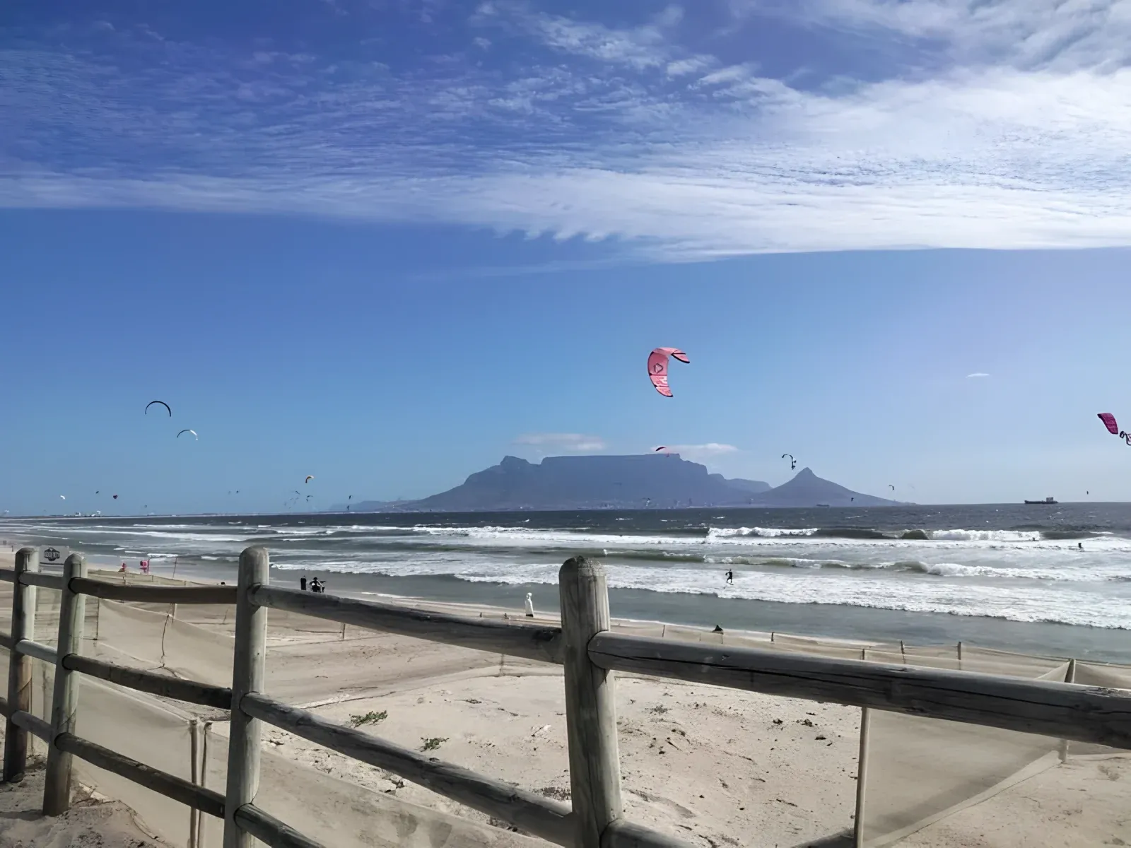 Baleines et requins : l’étude de la vie marine à Cape Town raconté par Eva