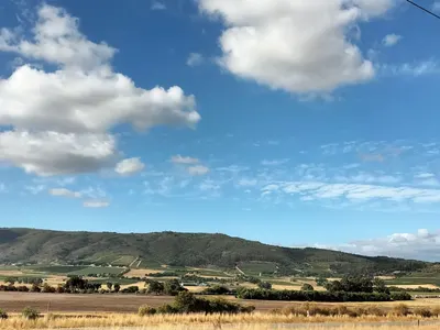 Le récit de Patricia pour la protection des grands félins en Afrique du Sud