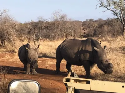 Martine’s Wildlife Conservation Experience in South Africa