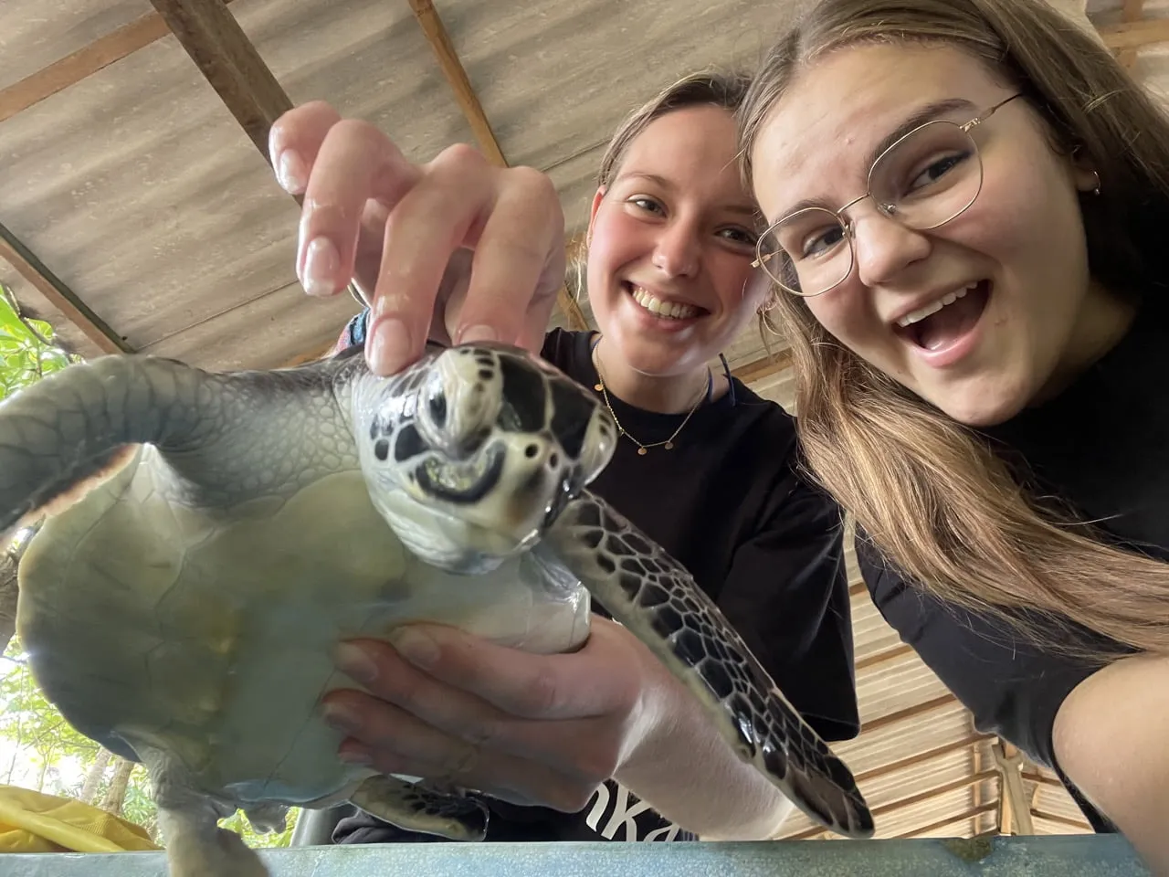 Volontariat auprès des tortues, l’expérience de Pauline au Sri Lanka
