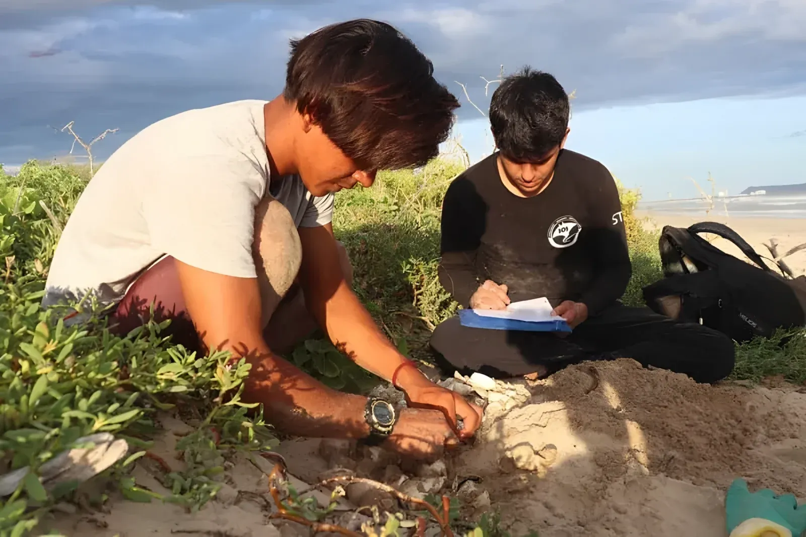 IOI Sea Turtle Nest Monit