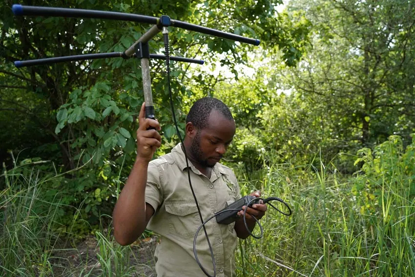 Volontariat animalier au Malawi