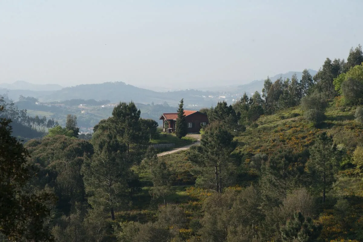 Iberian wolf protection project in Portugal, photo 2