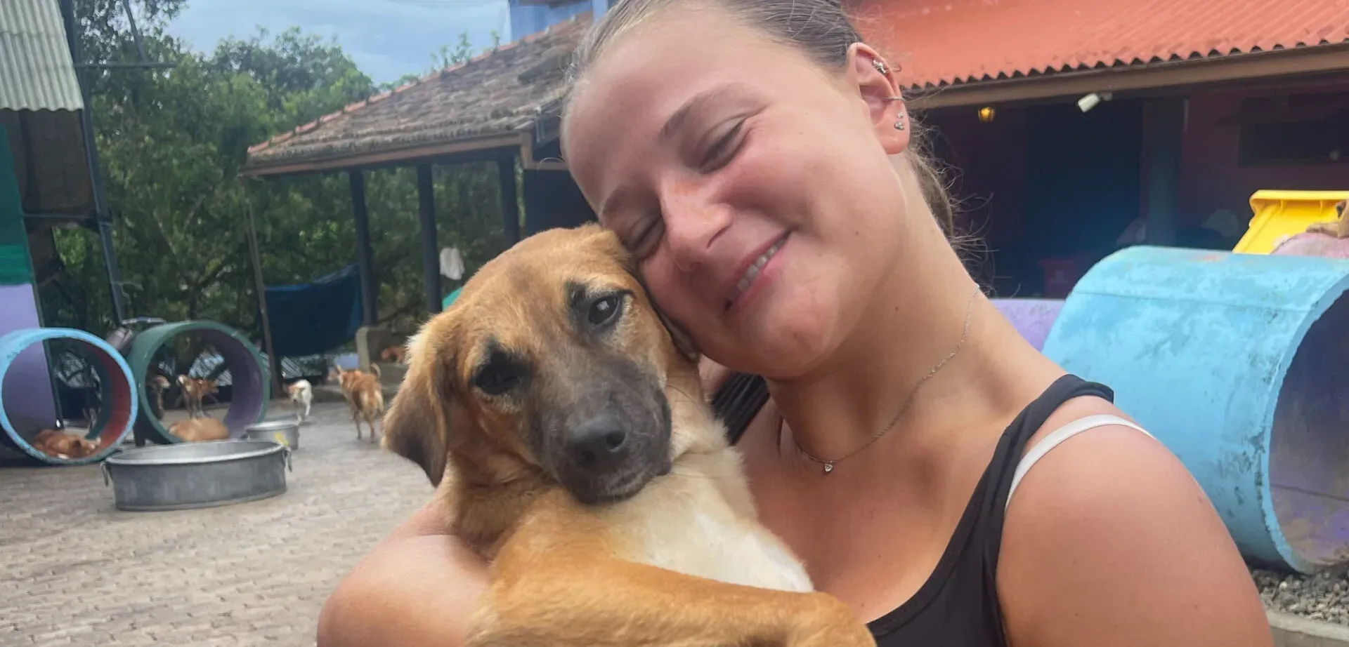 Volontariat animalier au Sri Lanka : l’expérience de Louise au refuge pour chiens.