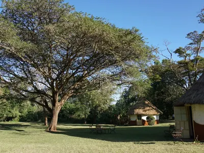 L’expérience de Lucile dans une ferme au Kenya