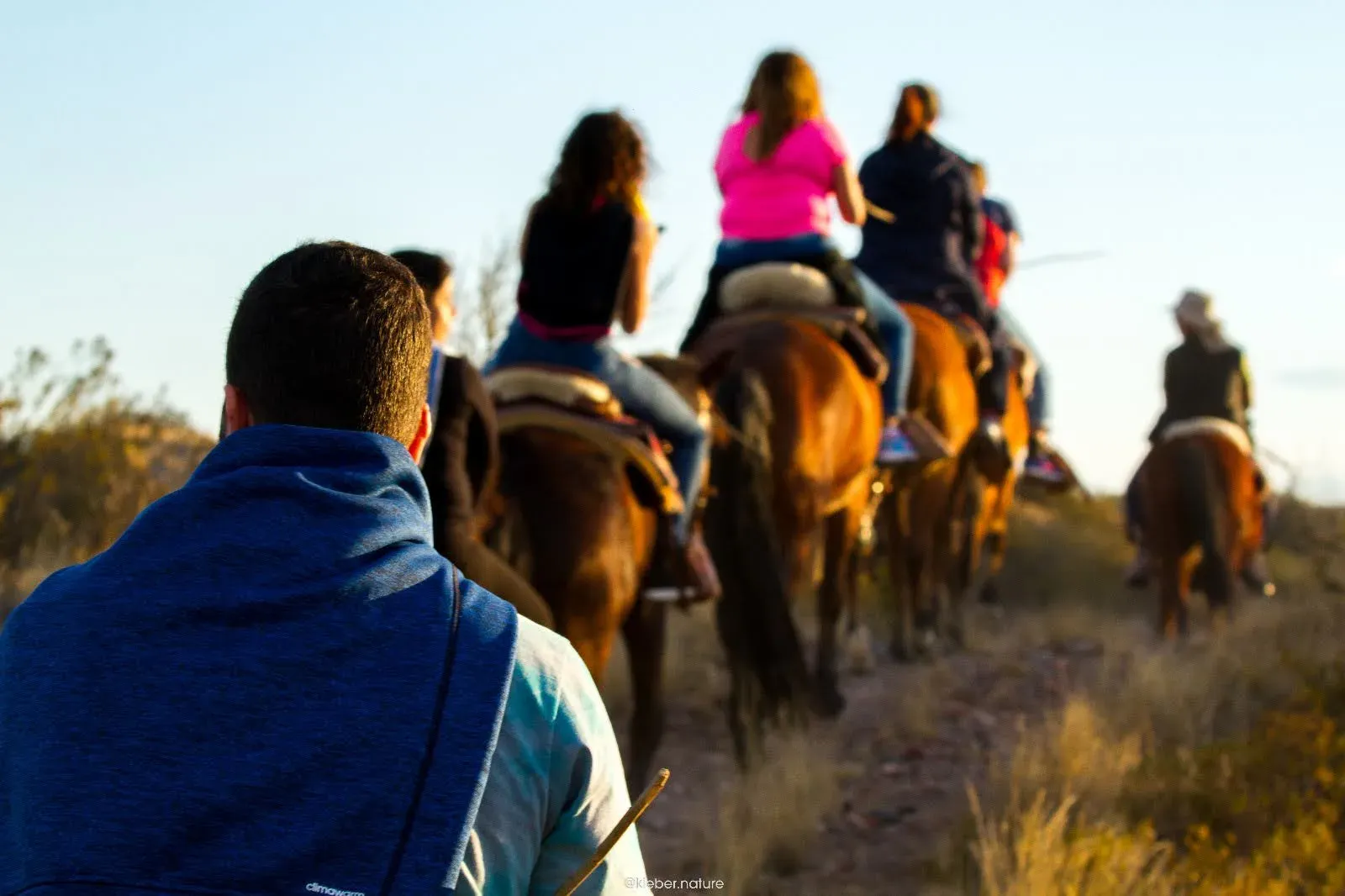 Riders on horseback following a trail at sunset near Mendoza, Argentina