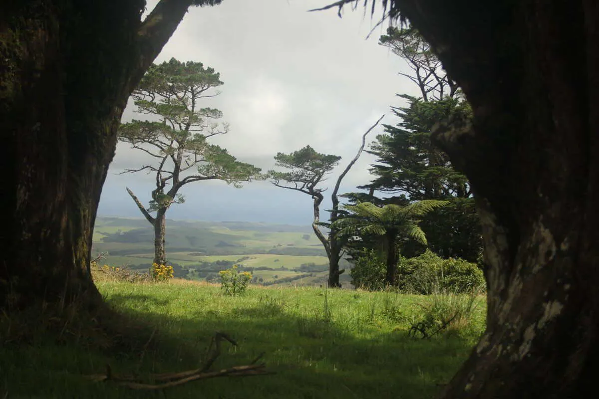 Ecovolontariat en Nouvelle-Zélande, photo 6