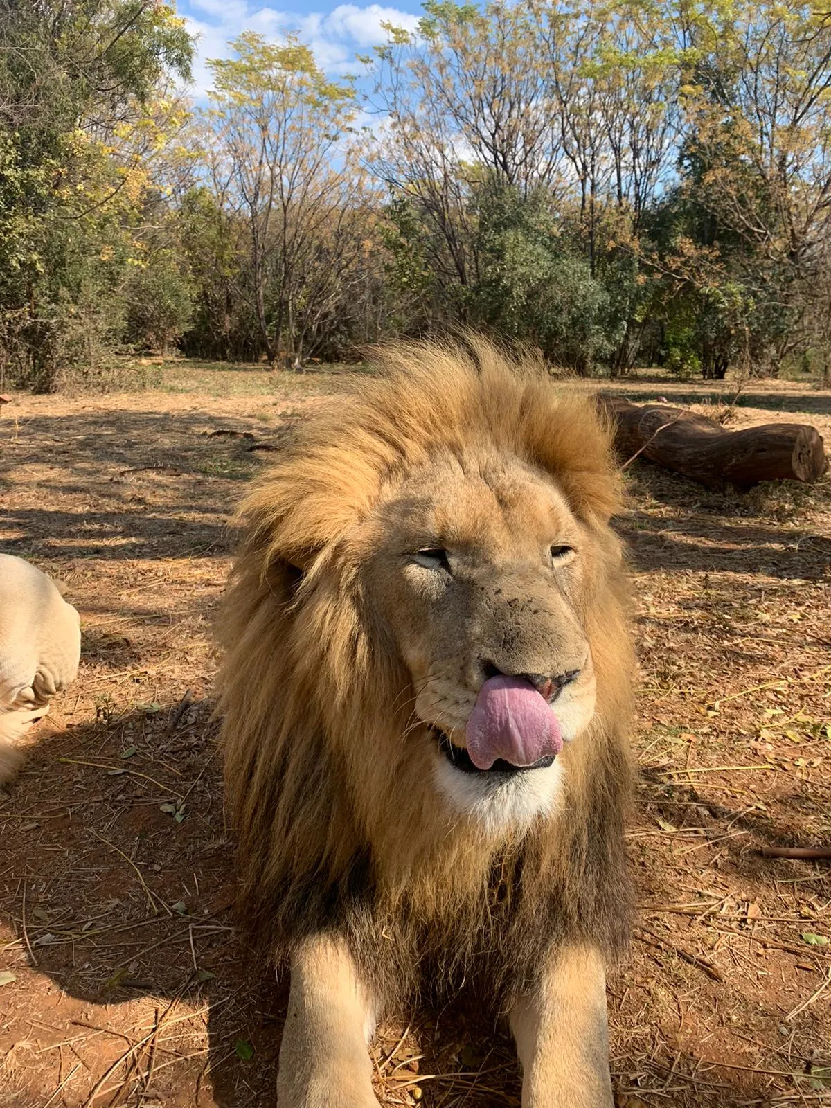 Big 5 Wildlife Conservation, South Africa